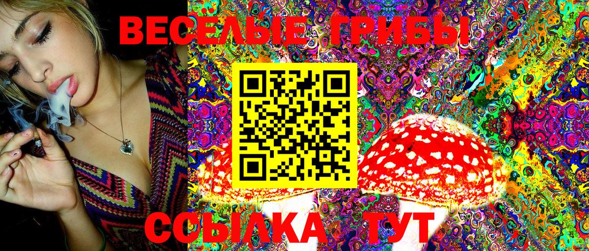 Ачхой-Мартан  Галлюциногенные грибы Cubensis  Вход с VPN  Галлюциногенные грибы Magic Shrooms 
