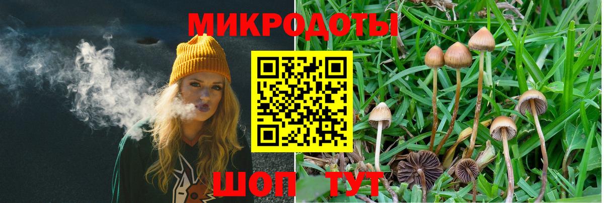 ГАШ Ачхой-Мартан